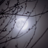 Full Moon.jpg. Keywords: Andy Morley;